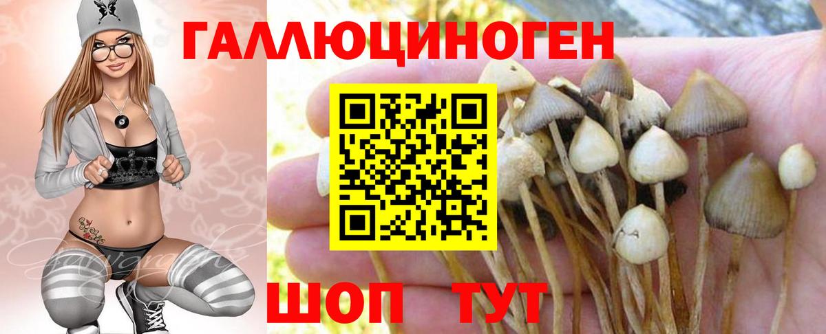 Галлюциногенные грибы мицелий Лабытнанги
